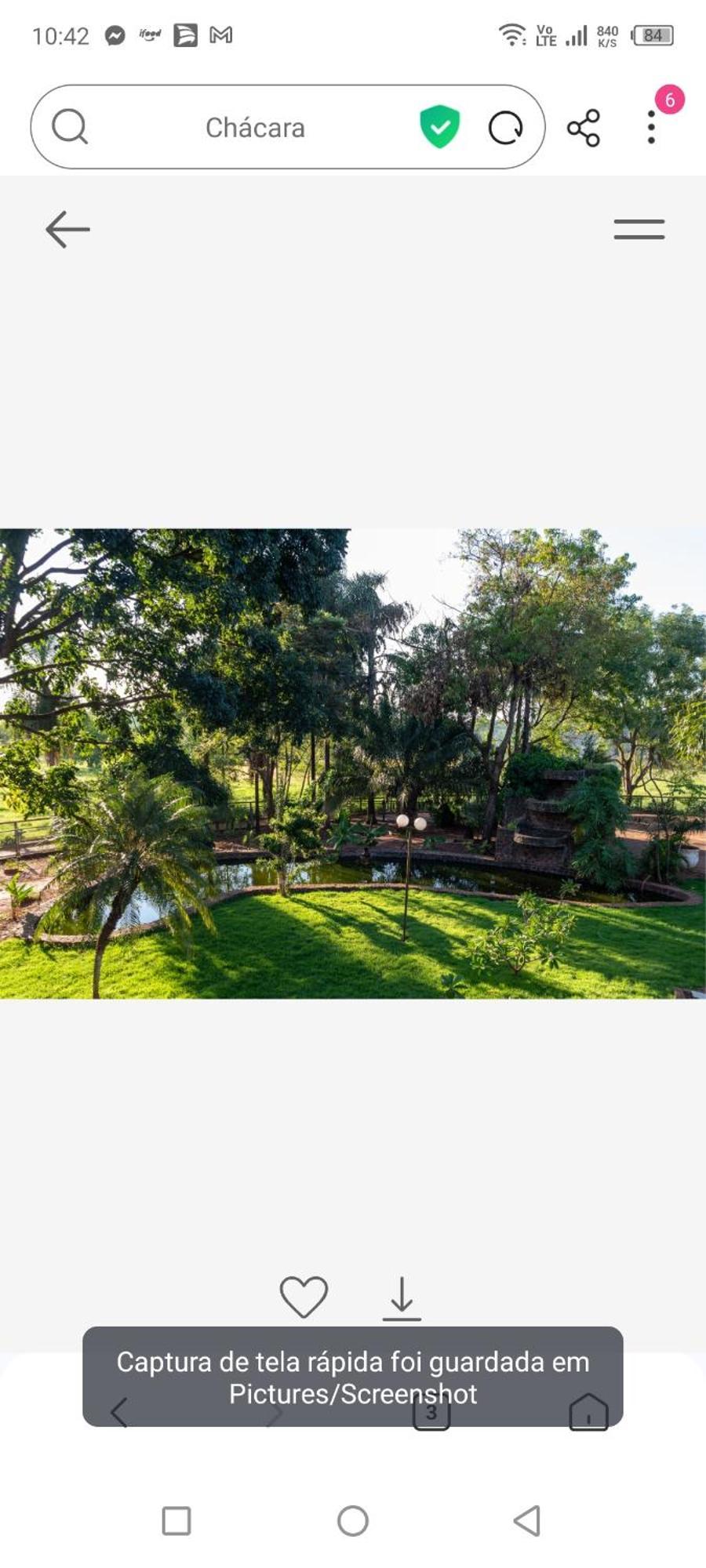Parque Das Arvores Hospedagem E Eventos 巴雷图斯 外观 照片